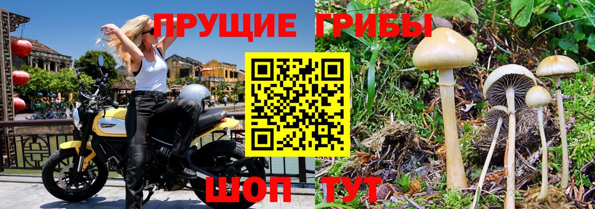 Псилоцибиновые грибы мухоморы Ногинск