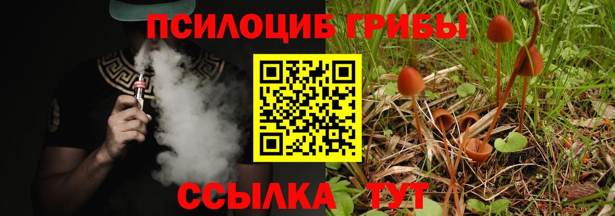 дарнет шоп  Вход с VPN  Псилоцибиновые грибы мицелий  Ногинск  Псилоцибиновые грибы прущие грибы 